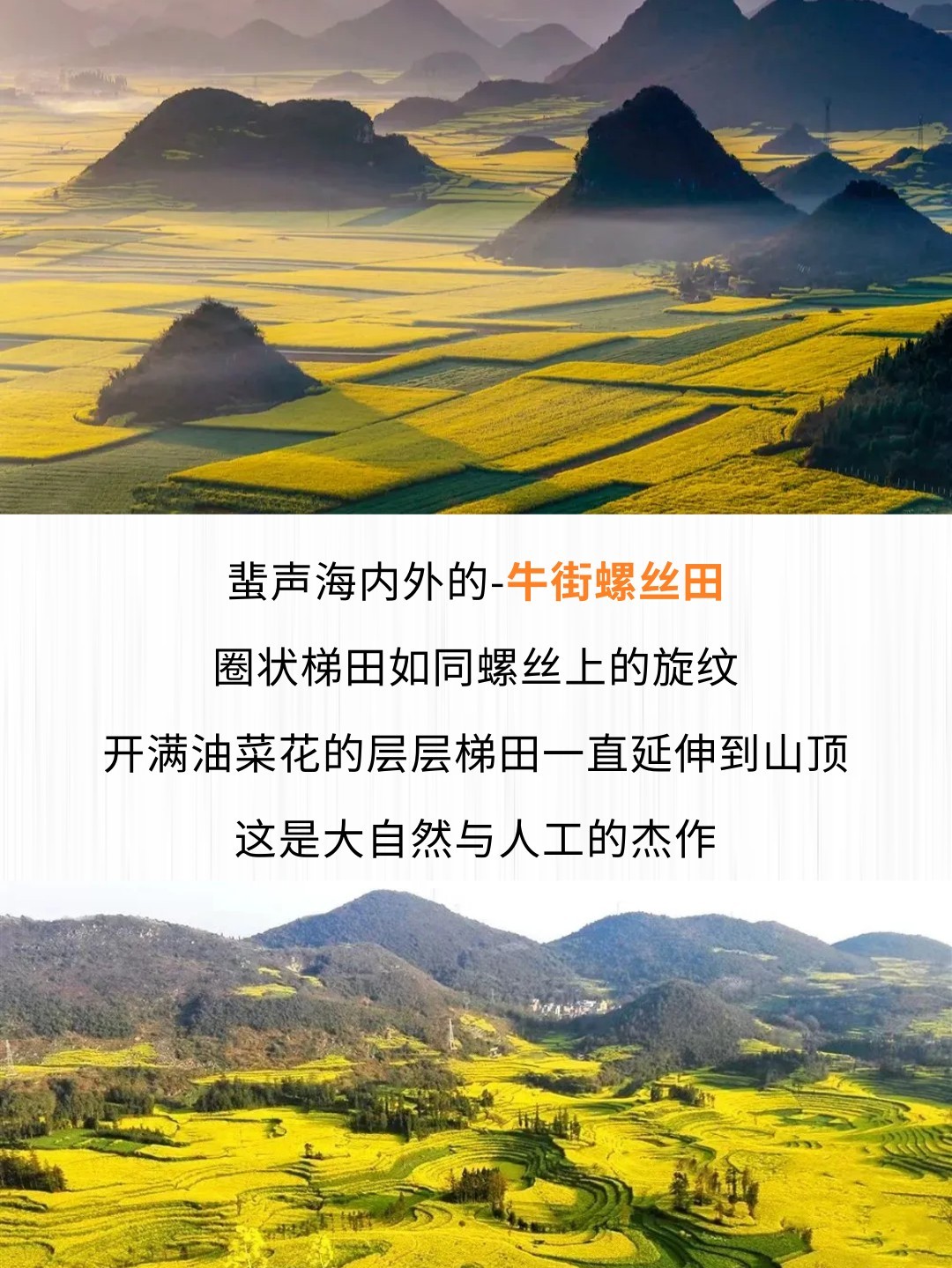 1764826760939_30HjGtCm