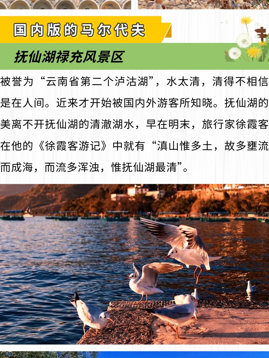 1764826760940_20nPGcTX