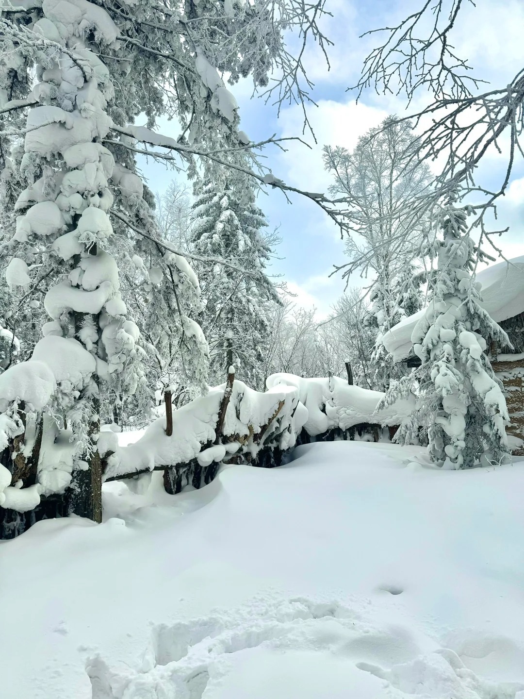 1764920399638_29zmGeG4 1764920399638_29zmGeG4