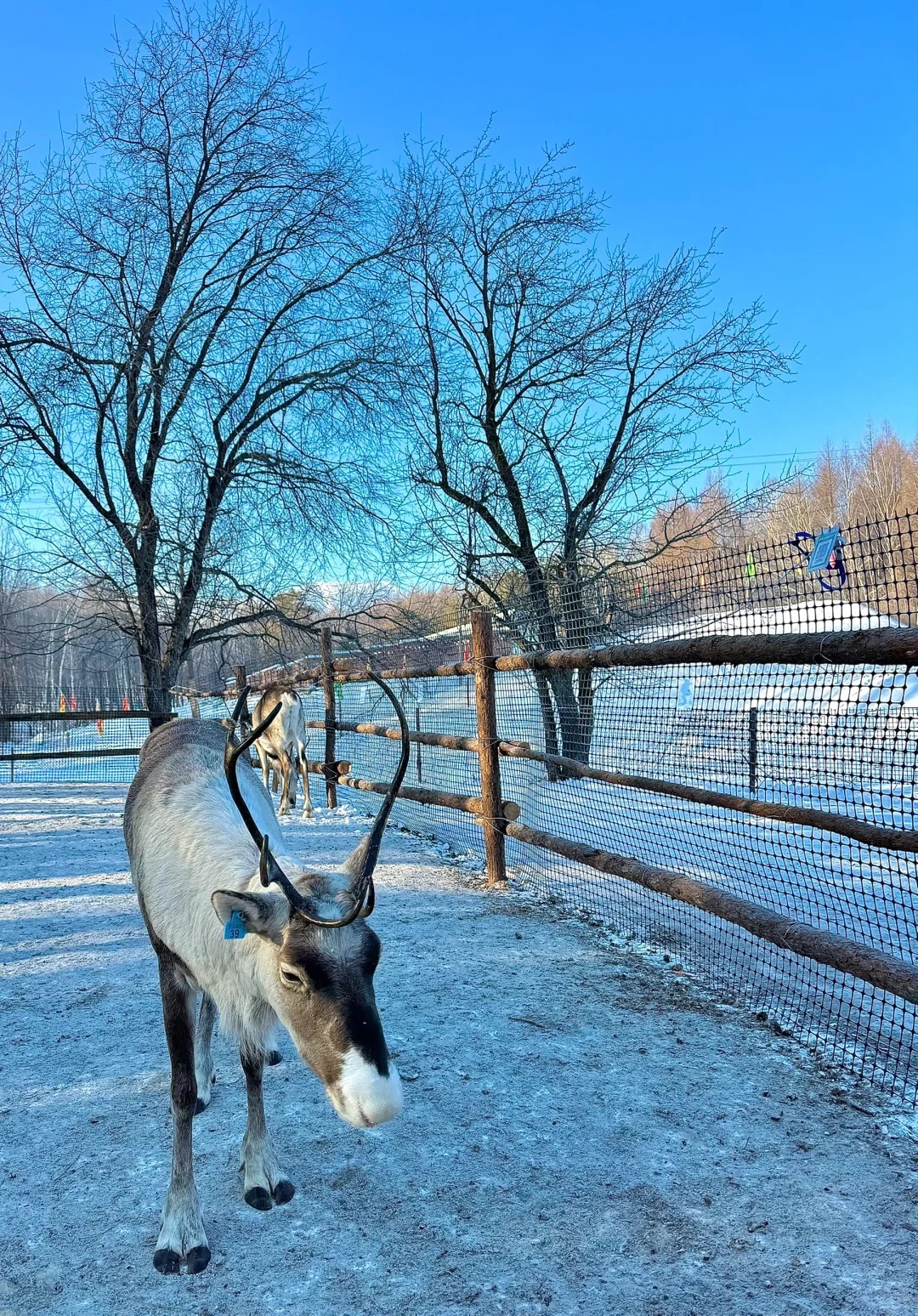 1764920399640_22cdrSHP 1764920399640_22cdrSHP