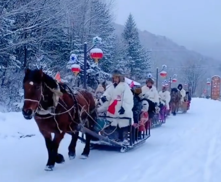 1764920399643_9SEwSWN 1764920399643_9SEwSWN