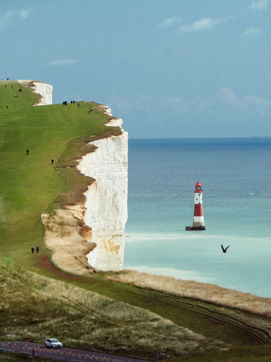 176aa9de335012ea70354d6bf33037fa-sz_422631