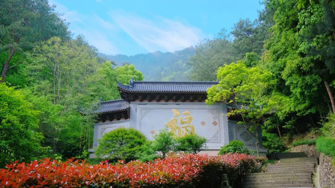 17c4c25f400c90e10a21af0982f917bf-sz_214575