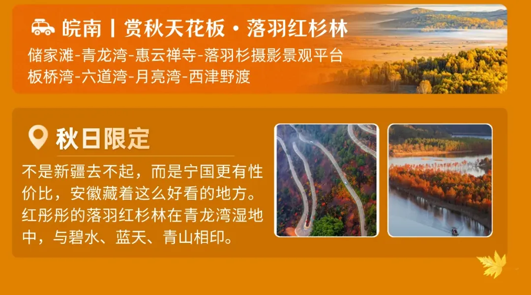 跟车皖南川藏线赏秋4日游！住四钻宁国鹿客岛花园酒店，含3早6正餐（餐餐12菜1汤），打卡水上喀纳斯落羽红杉林，免费棋牌唱歌游古街！
