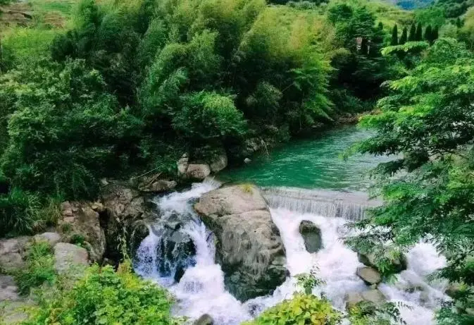 17f9197e8a7dd64b6ecbfe8d1f7570c7-sz_81136