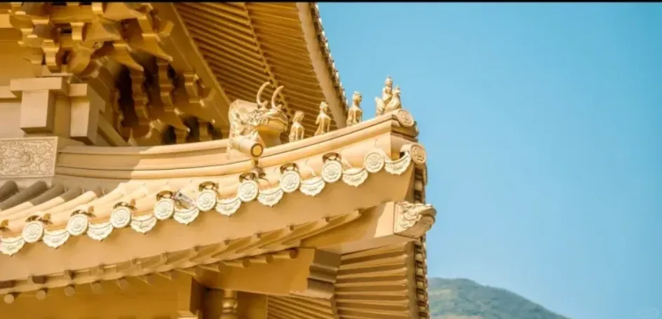 18099b67616d724f2f01e4a66c229f50-sz_497111