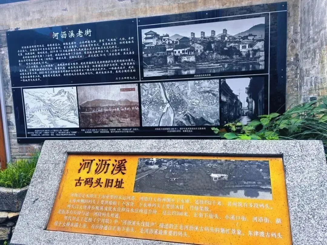 18330773381655e3dea3d5b9a23c1ca4-sz_245311