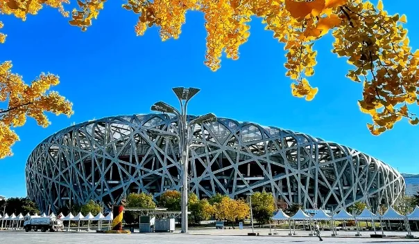 18374801730496ecdea849279be922f1-sz_218060-3