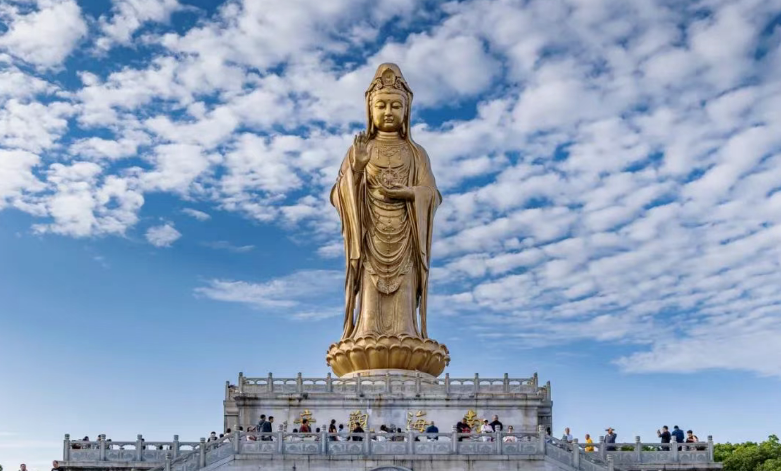 1846482b85bb6ee6878d1b6bbf500927