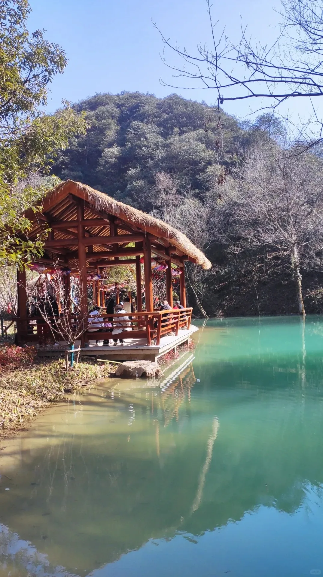 1858a157a0657f4f01a5d32e332d1303-sz_652713