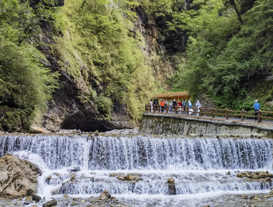 1859d00ee423e532213b84faeec0c4a8-sz_3288059 1859d00ee423e532213b84faeec0c4a8-sz_3288059