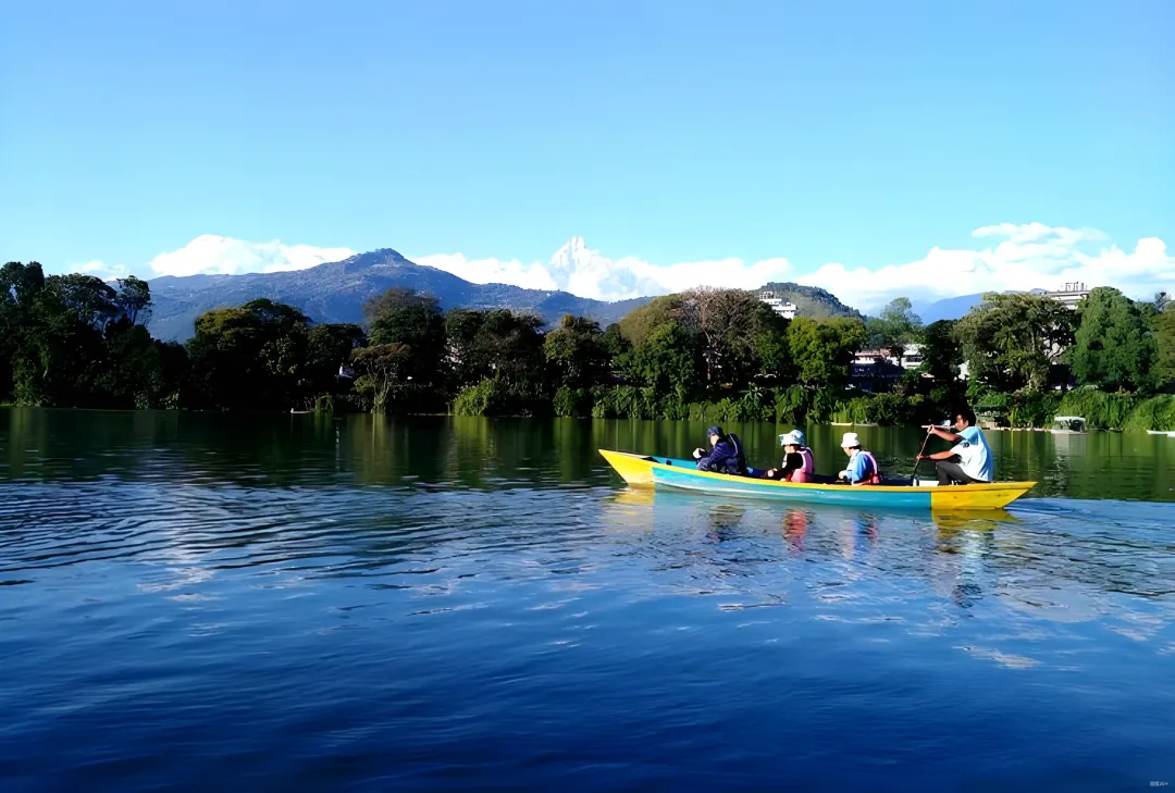 1860b8f356065e0db13bd93461dd19cd-sz_4116130