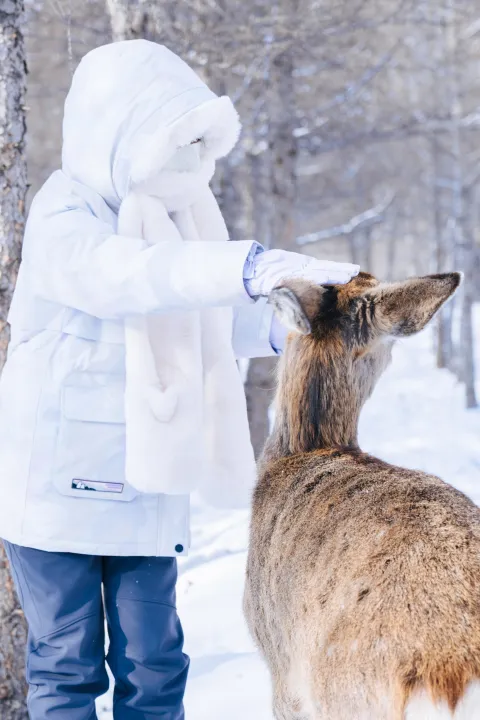 1871c108538de60839bec573c0e54602-sz_4017967 1871c108538de60839bec573c0e54602-sz_4017967