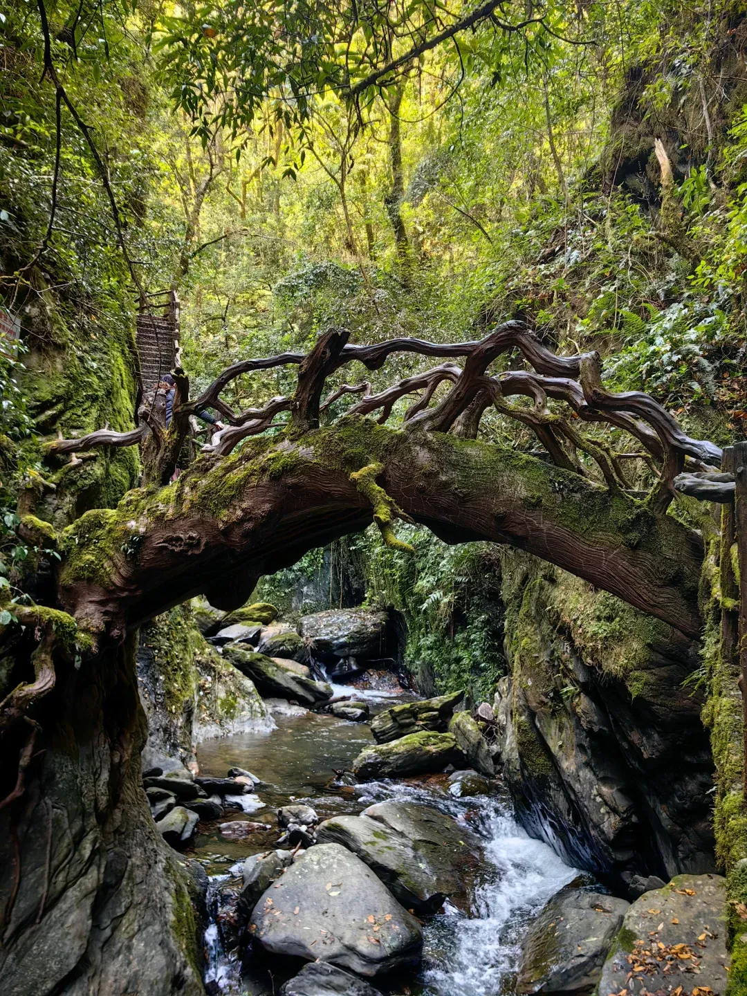 187cbaa968b942b4924149776ad48788-sz_3701642