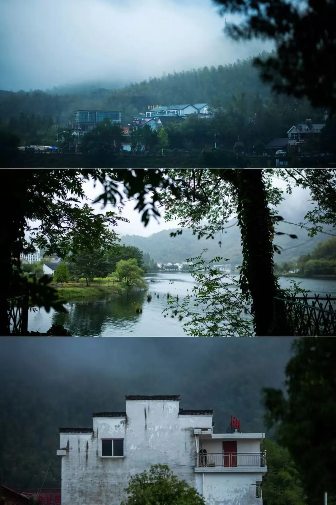 187ec434b1f326b989b84a29d76f45fa-sz_295202