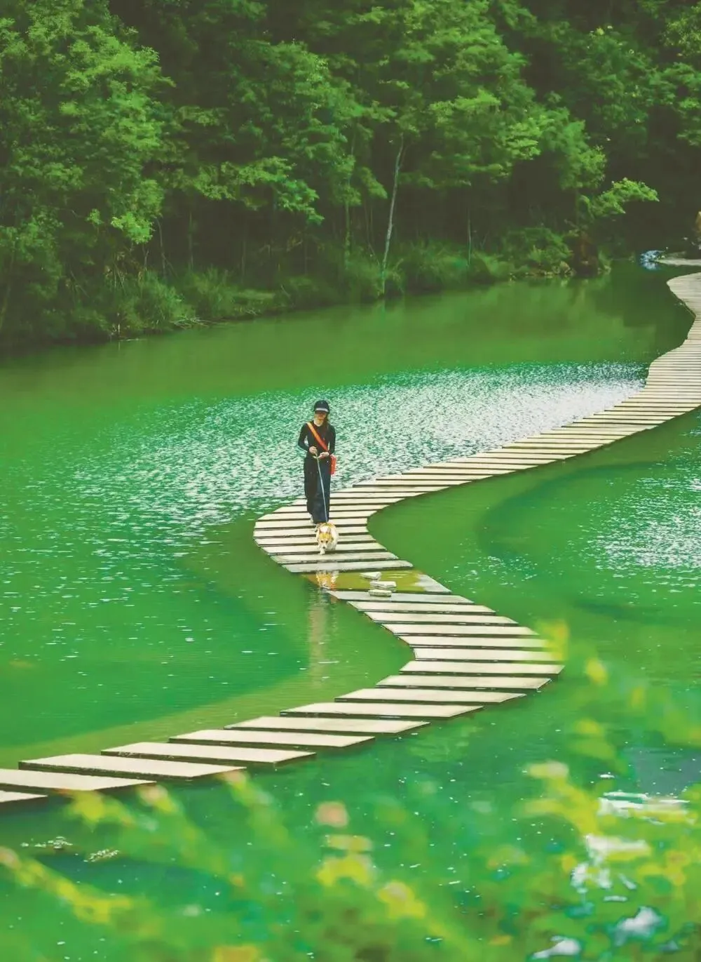 18906f6de7852aa4745bf3dc2bbc2488-sz_187599 18906f6de7852aa4745bf3dc2bbc2488-sz_187599