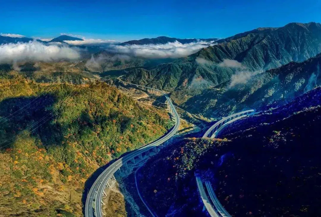 18c9399cec92c73dc39eae97de86cdc0-sz_276289-1