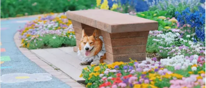 18ce1bca9ab91cc93ad40721e745f22e-sz_367178