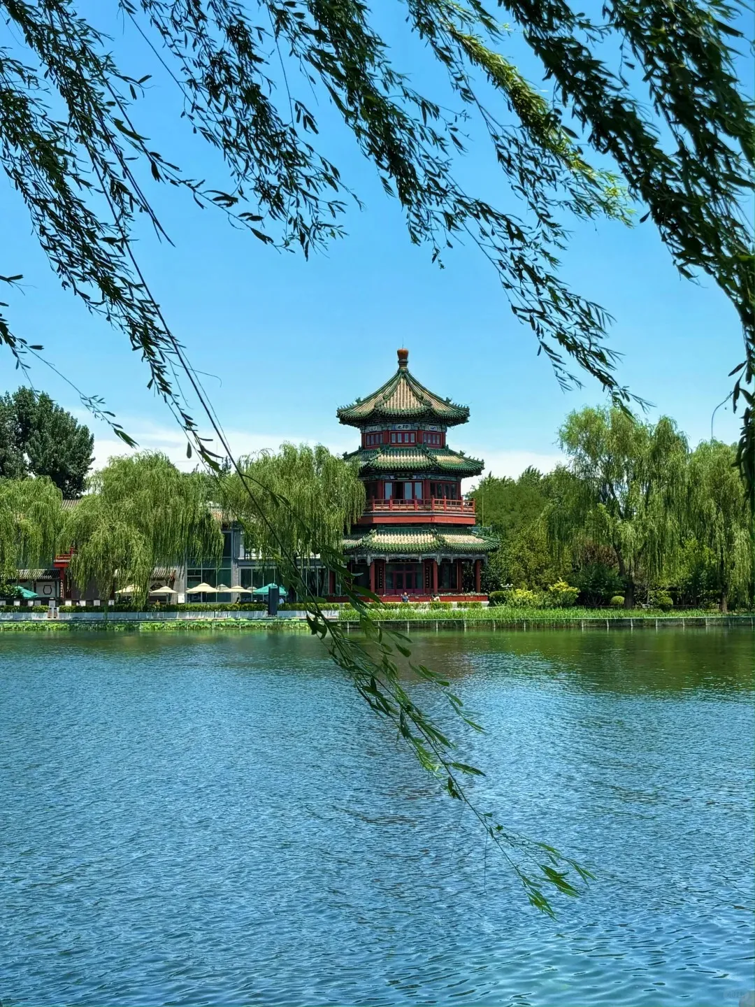 1926c394464fdfe1716a16bc1447dae5-sz_663697