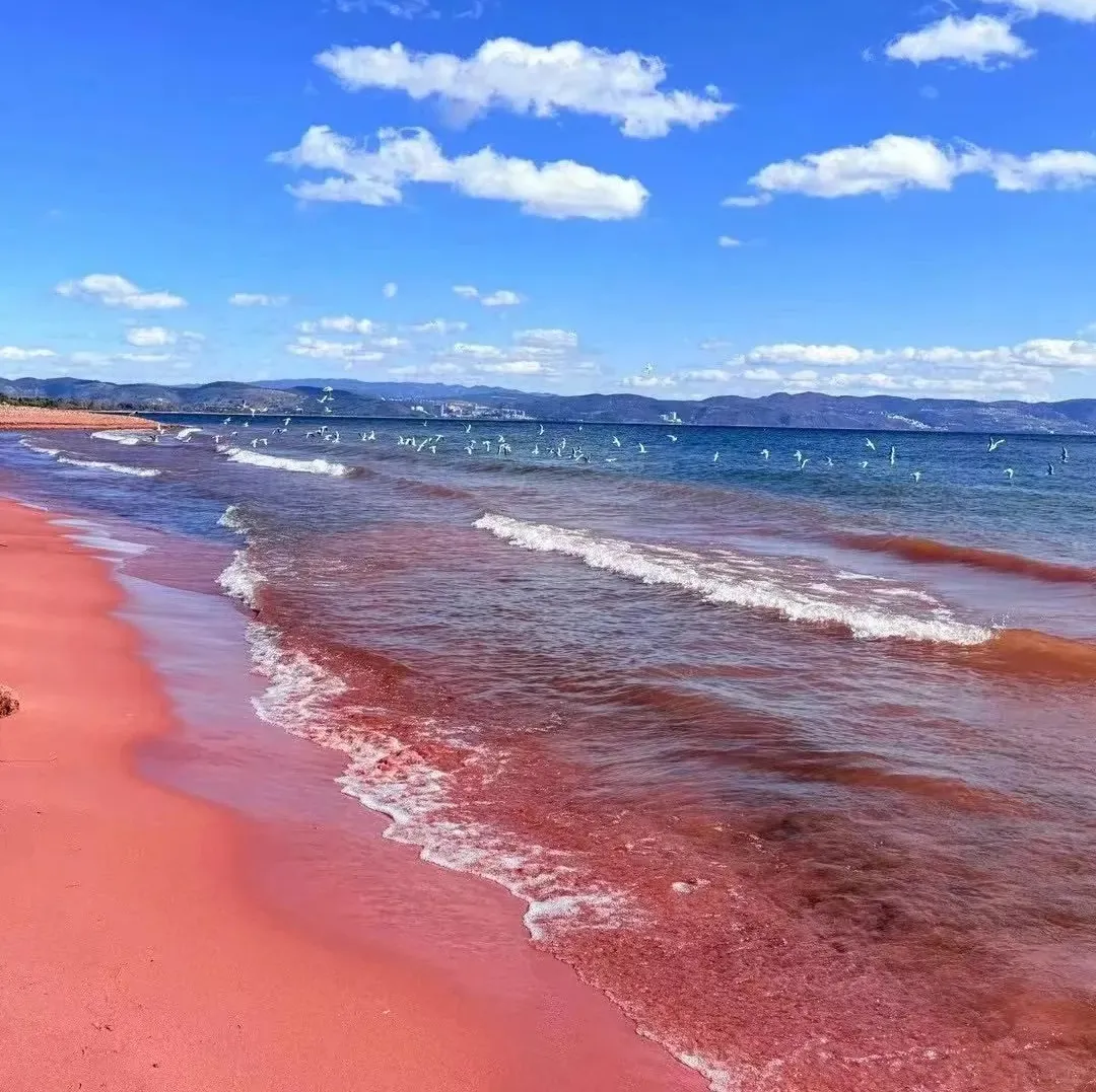 192c344543a9d9ec1bd9f7231f363faa-sz_305064 192c344543a9d9ec1bd9f7231f363faa-sz_305064