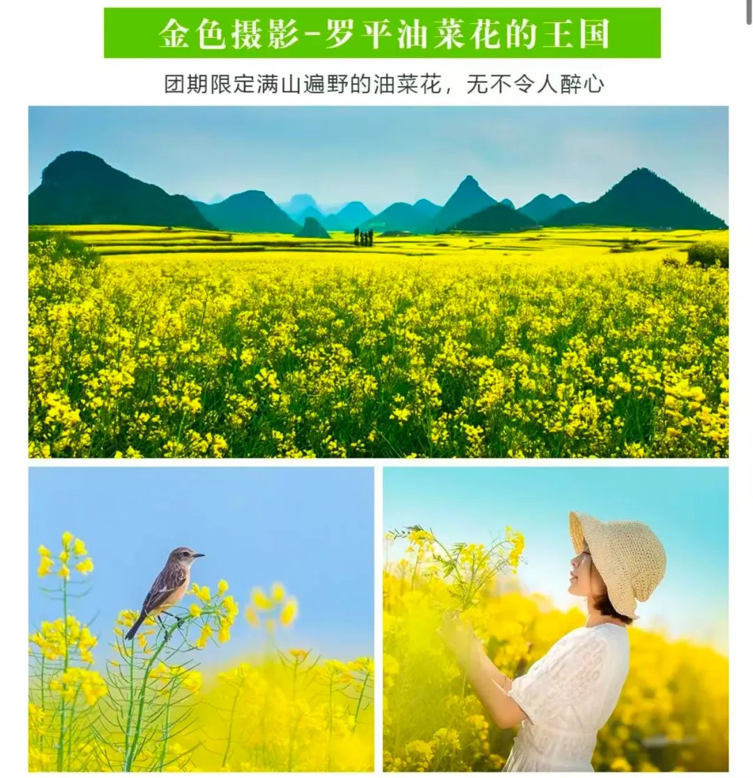 193f5b1f3967f861a2939d0b07789ba5-sz_2335116