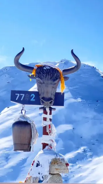 1969e2384b91a2265ba7f7cccb5a89a8-sz_309040