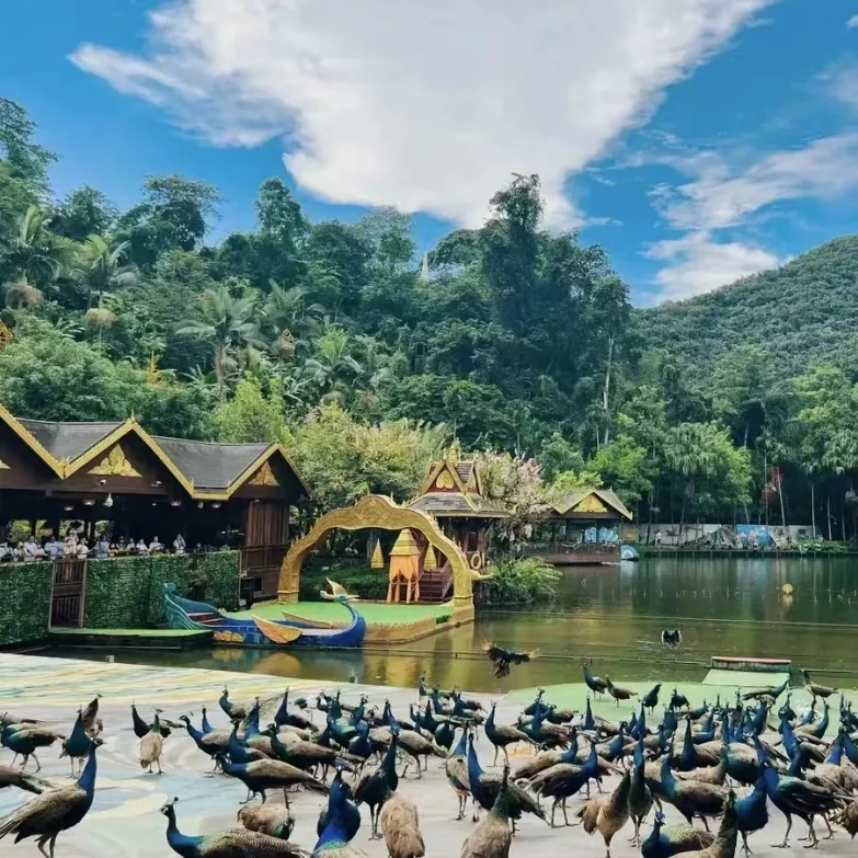 196d6da2a9341708fef3a7d2d512892c-sz_991069