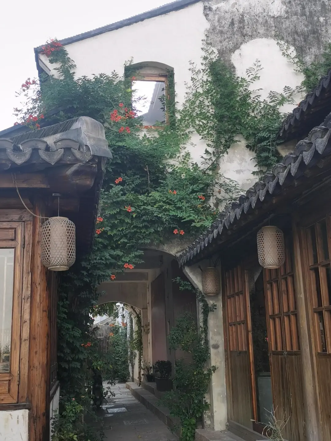 19862d13e16a94d126ab88bd5f03b484-sz_389162