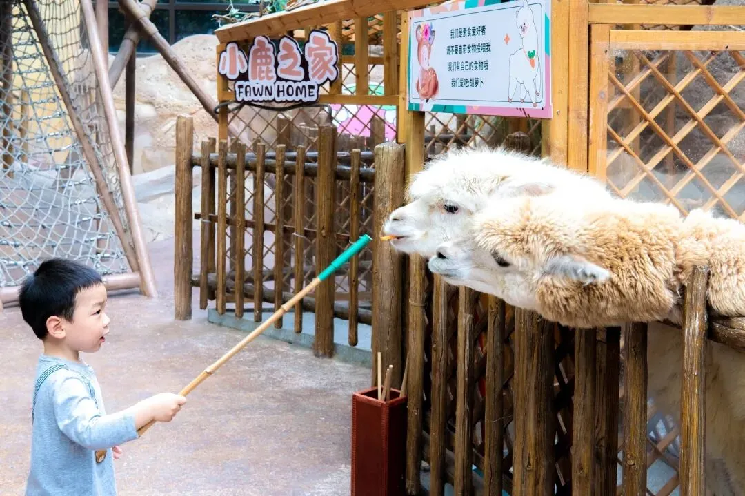 19ea60d185e0d3b4175c41dc5dac250a-sz_162819