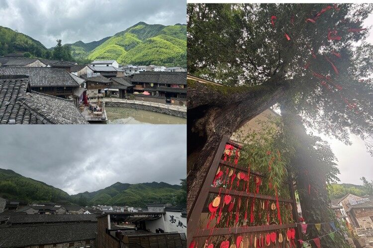 1D856YaWgcsBC75S6kqOZBd-GuRI26-Z-1 1D856YaWgcsBC75S6kqOZBd-GuRI26-Z-1