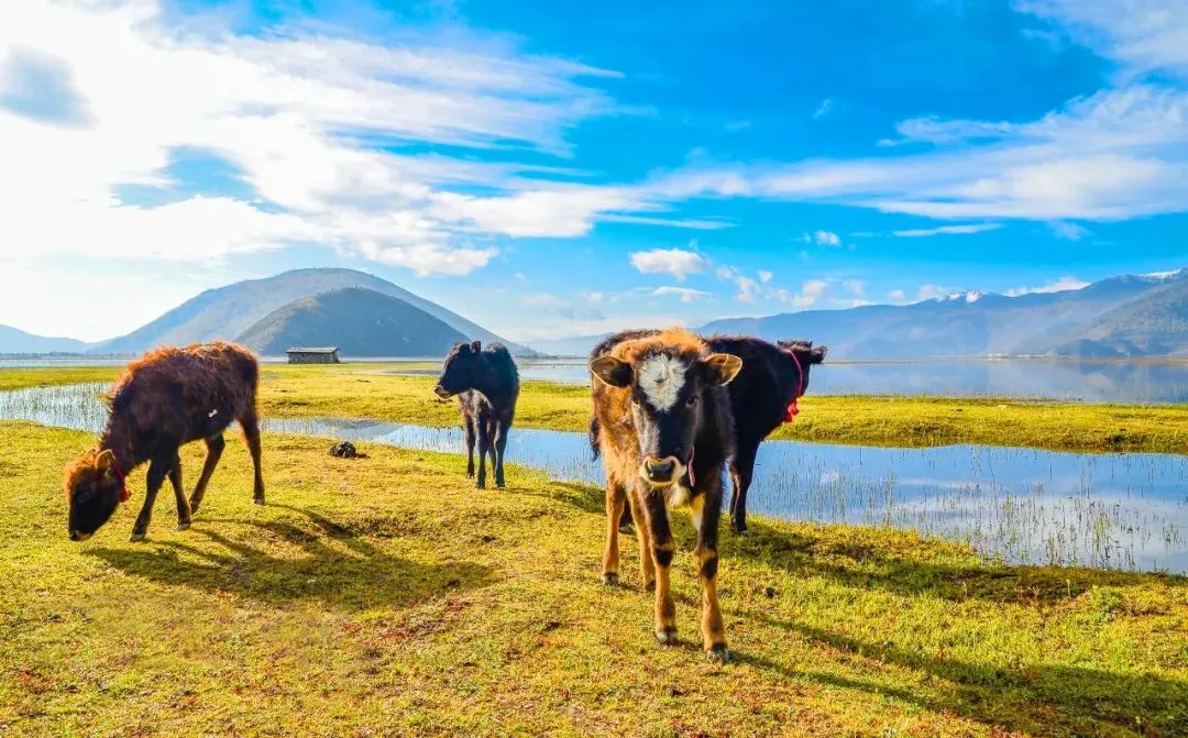 1a5528f5d7f92d687b7c6085acde0549-sz_169520 1a5528f5d7f92d687b7c6085acde0549-sz_169520