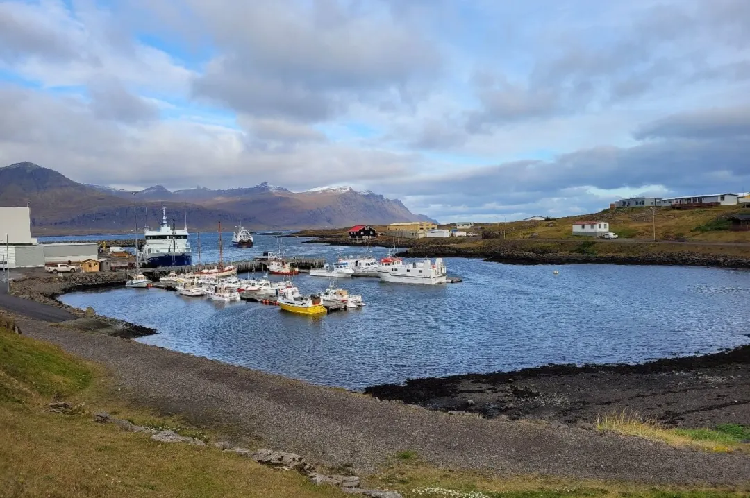 1a943d882ab61ab383851dc0b686cdc8-sz_381552