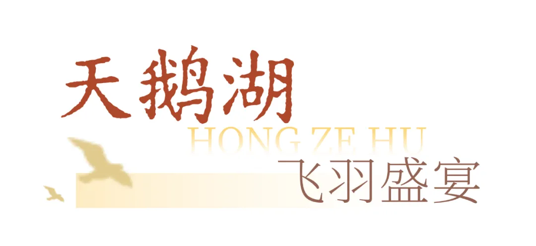 1ac8007fb09b8eb2403cb38f53924b1a-sz_90167