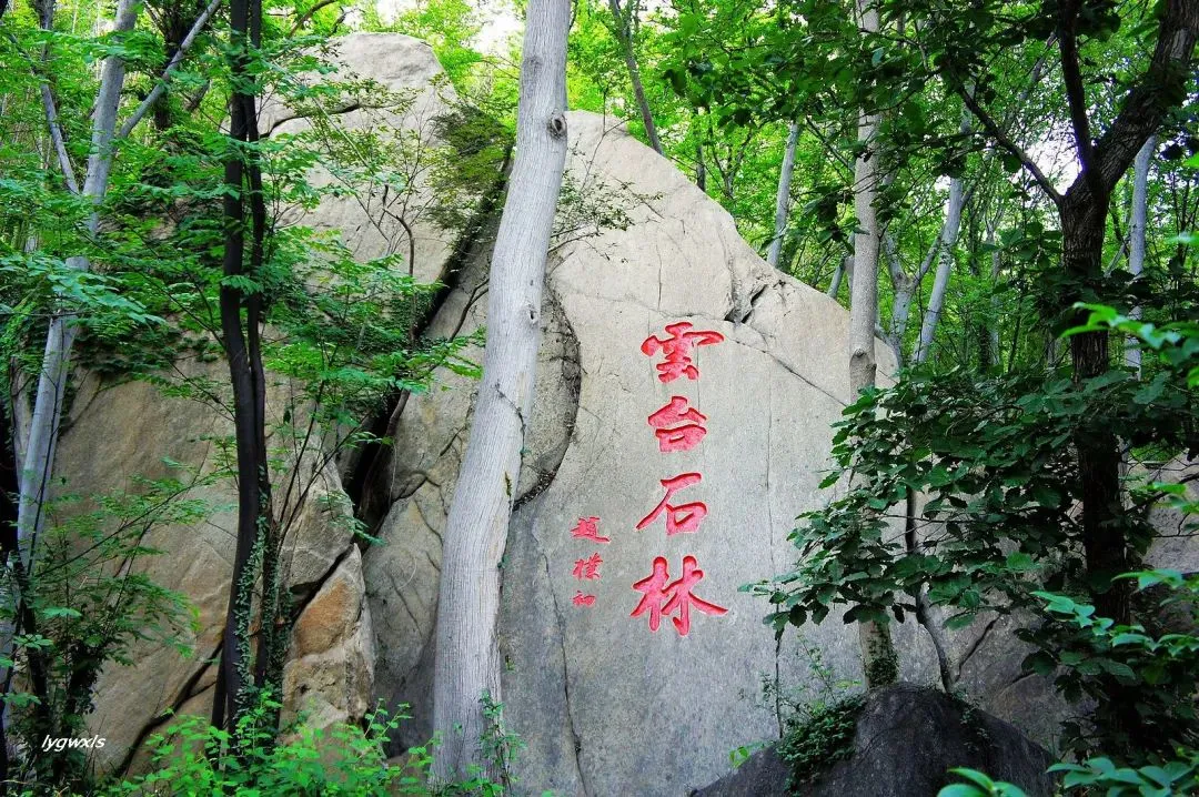 1b094fec6ac897da59c35d5ae1f1f0a3-sz_272693