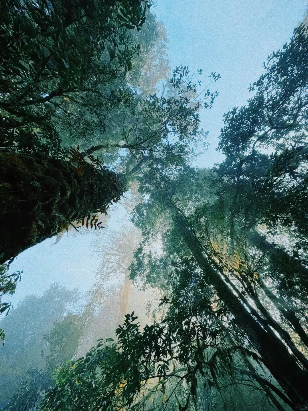 1b872cbff0f0a866d9033878dc554b07-sz_2195972