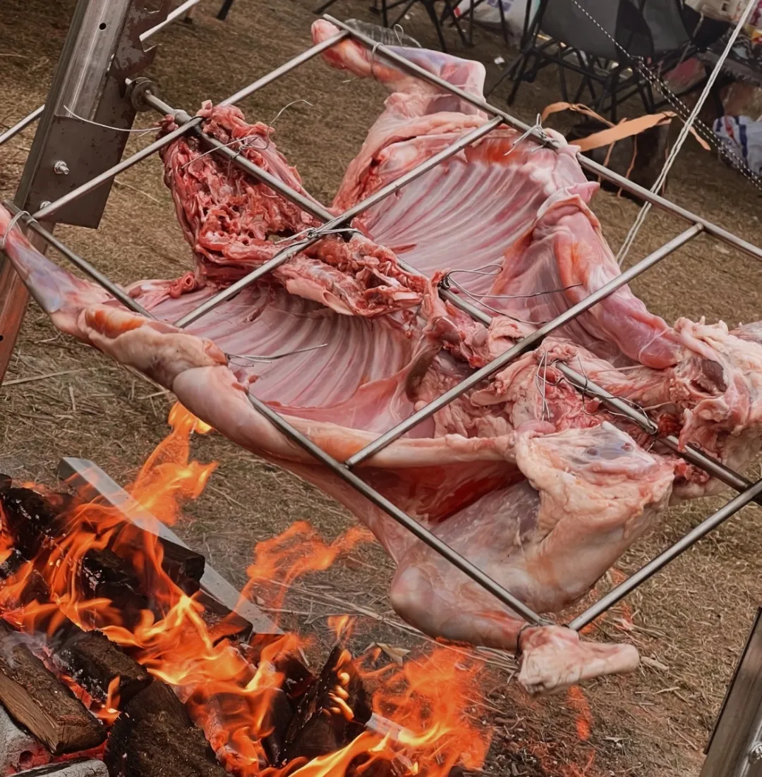 1bc87cdb0e6771be4cee3f5c8dce9b1e-sz_484669