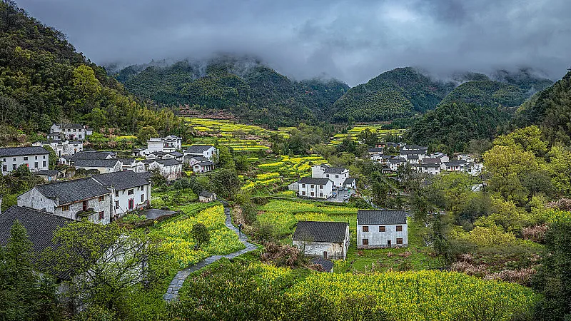 1c2098a55ed78da6ec58ec822525607c-sz_553435