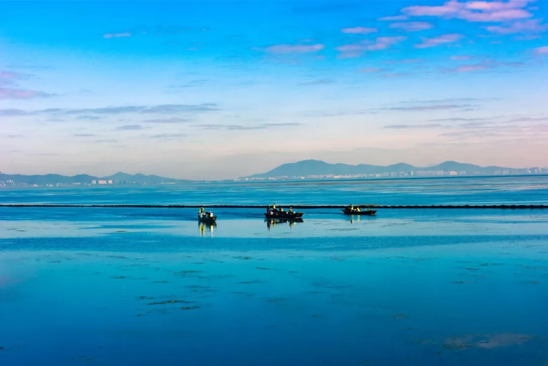 1c5843a7ec43f434d8b9e0f63f970f1d-sz_98495