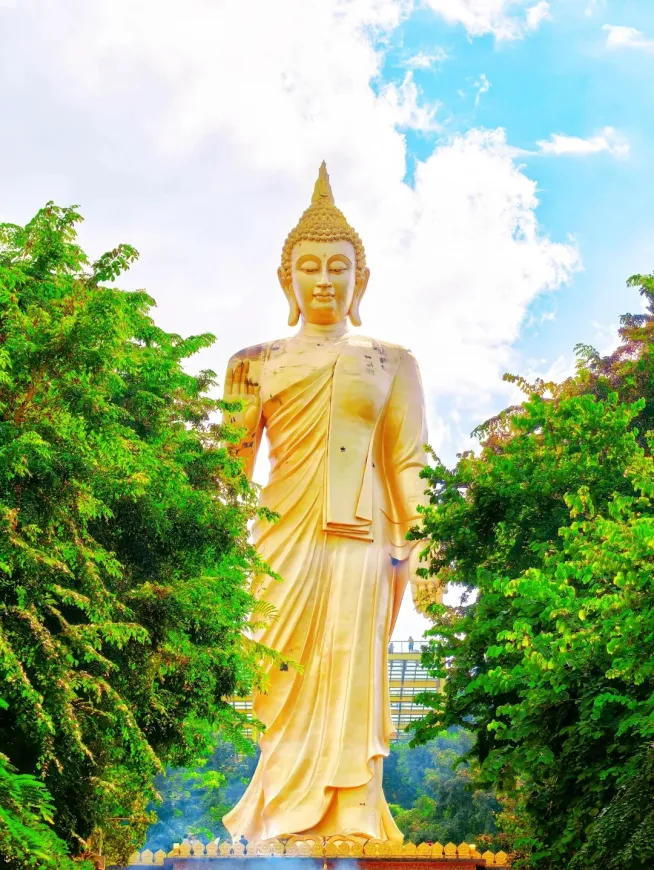 1c58b20f5e9cbe24735c51dc1a2f2355-sz_1461615 1c58b20f5e9cbe24735c51dc1a2f2355-sz_1461615