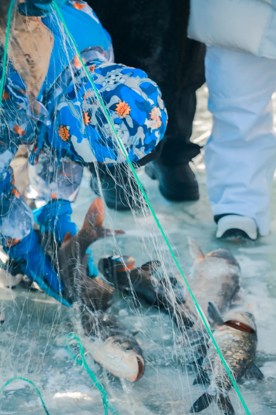 1c6581c447e81cb31a77deacdb248697-sz_9675997 1c6581c447e81cb31a77deacdb248697-sz_9675997