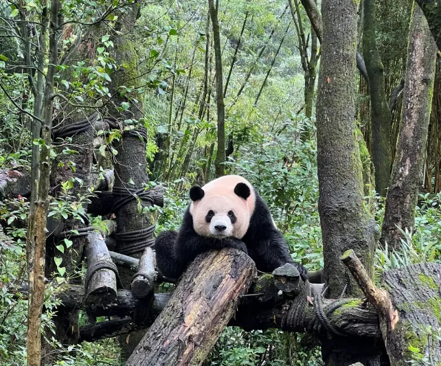 1cdb88eb6d4fe10ad3748572de7fda8e-sz_978431 1cdb88eb6d4fe10ad3748572de7fda8e-sz_978431