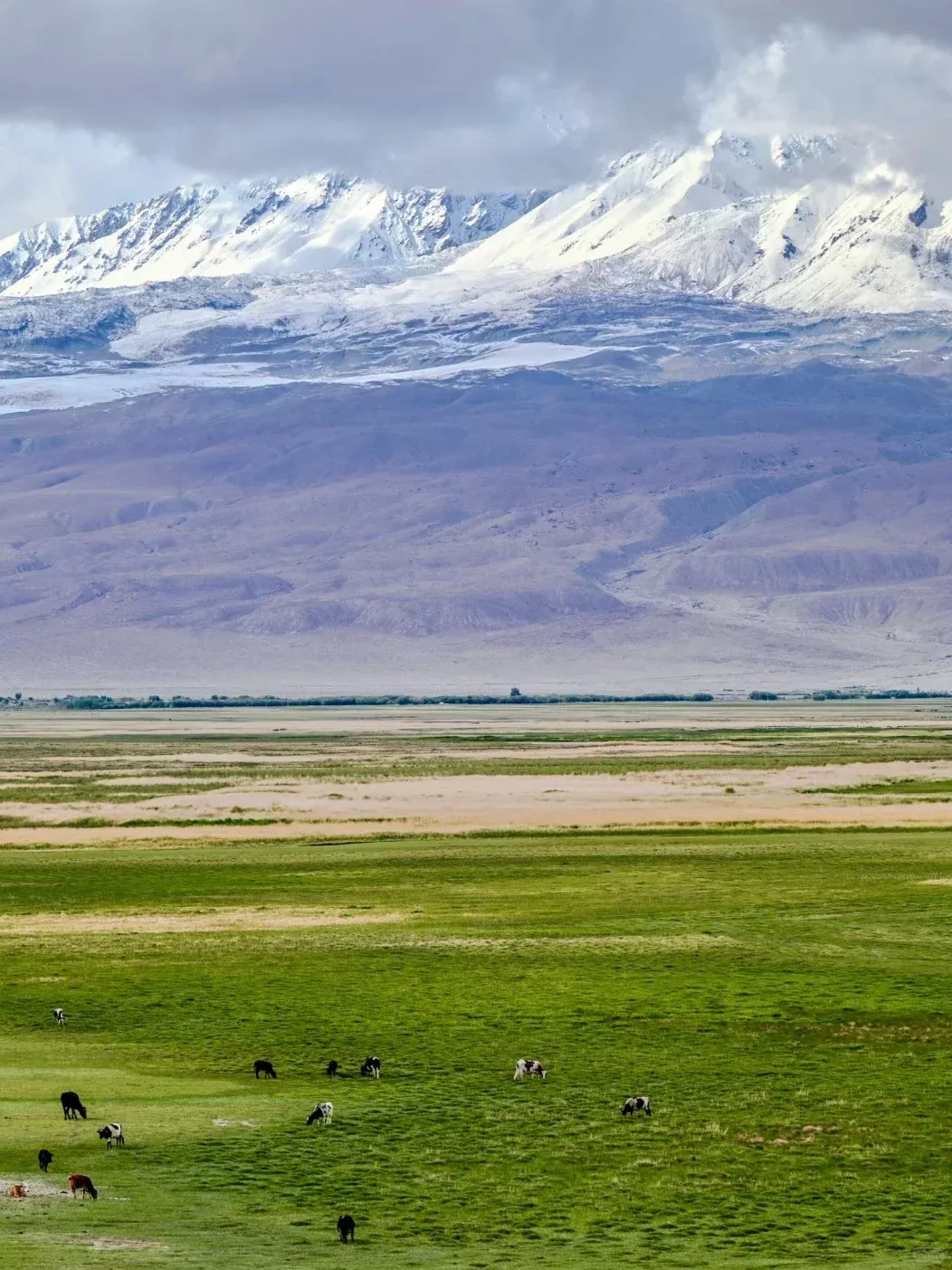 1ceec524ca8d655d3a9ed213af86dab9-sz_2584263 1ceec524ca8d655d3a9ed213af86dab9-sz_2584263