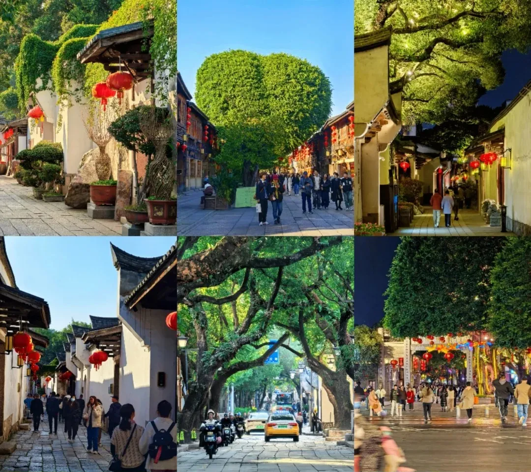 1d16f9dc900ec34d10e9b345dd8e6cd6-sz_593859