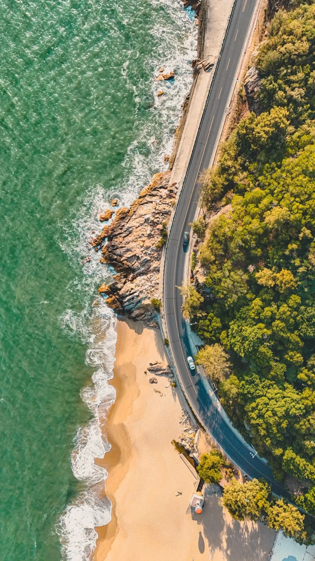 1d2943b991e789d9d92ac07d03938951-sz_907053