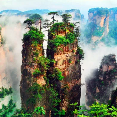 1d4a7459d59ca07ccb2fc88221acc0d3-sz_122895