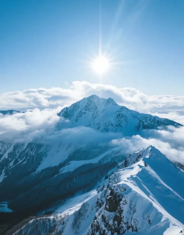 1d4d78b9aec532819221f0b8f4285e19-sz_738150-1