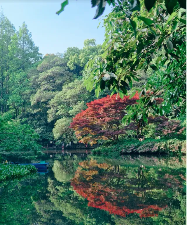 1ddac59ac78425270e1d352e43931cba-sz_1149653 1ddac59ac78425270e1d352e43931cba-sz_1149653