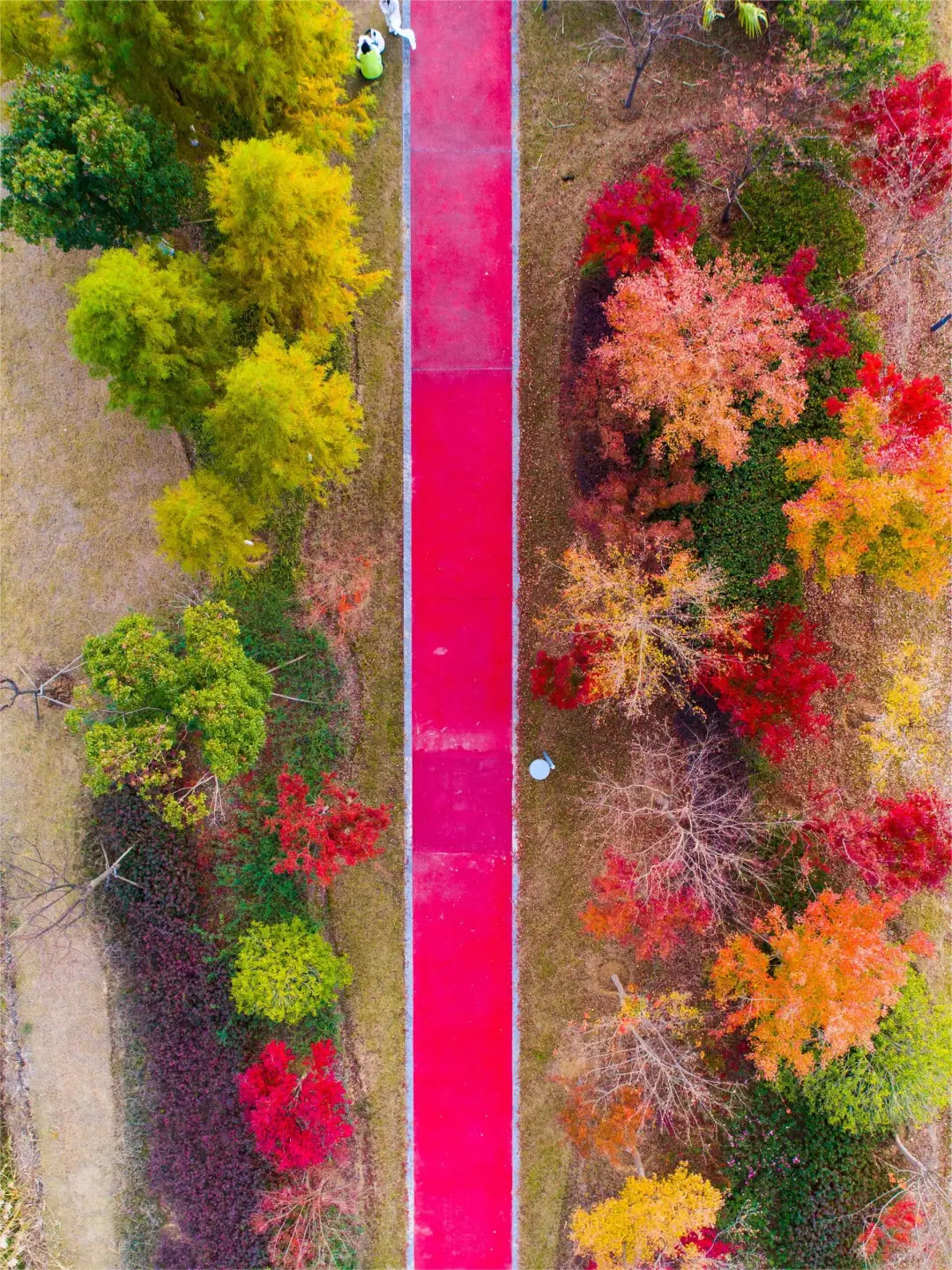 1e7005f8555ce1784c0ce65b7e56584a-sz_1294847