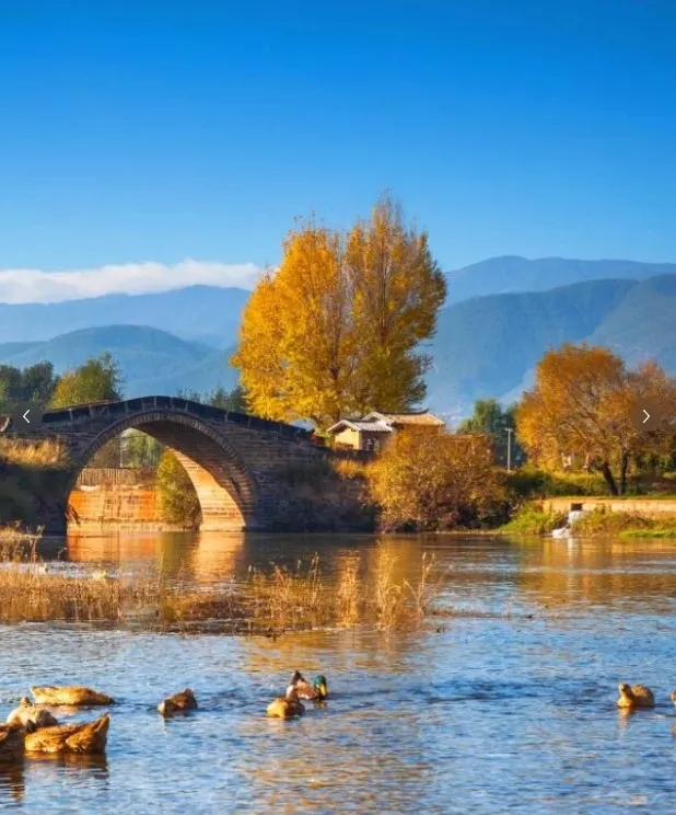 1e76c10593aeb6a48e22734ec4c2b1a1-sz_116451 1e76c10593aeb6a48e22734ec4c2b1a1-sz_116451