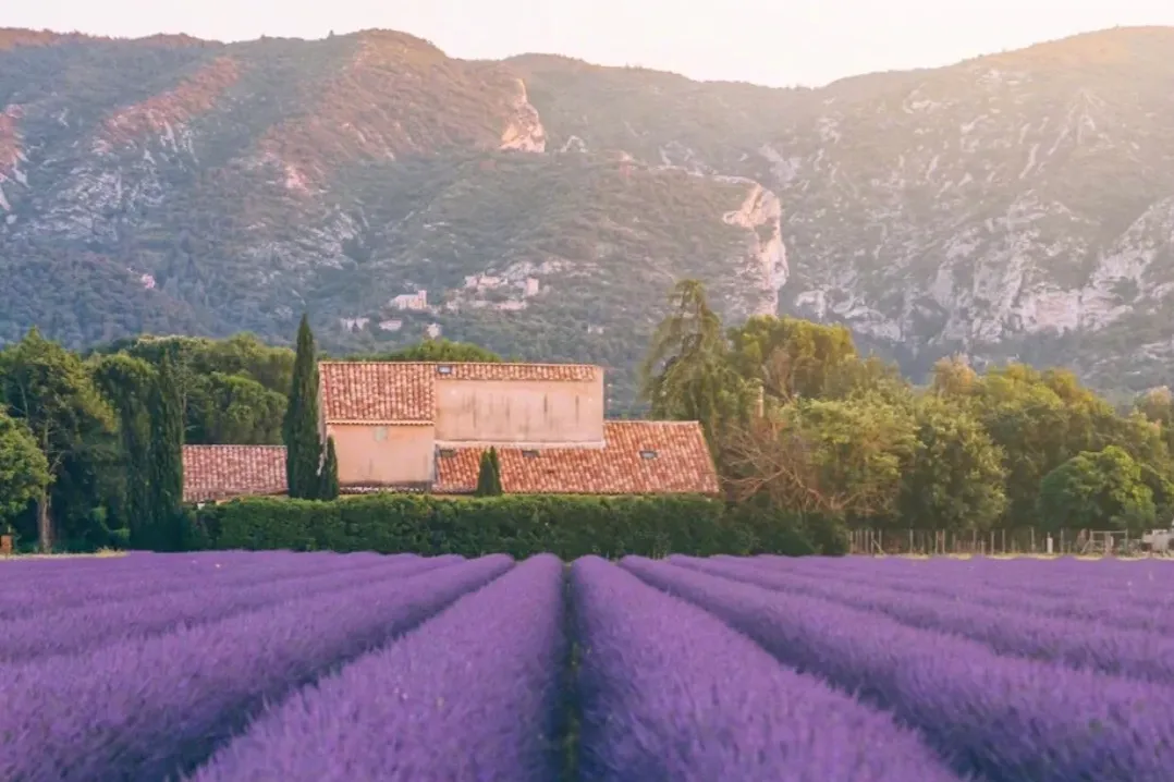 1f015660bffa47a85bcc0bc23b93406e-sz_1726405